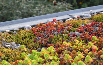 the cost of Mawsley Village green roof installation
