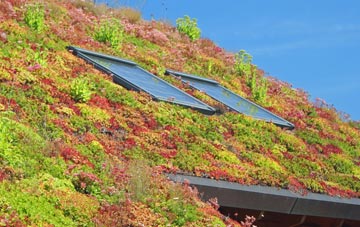 Mawsley Village living roof systems